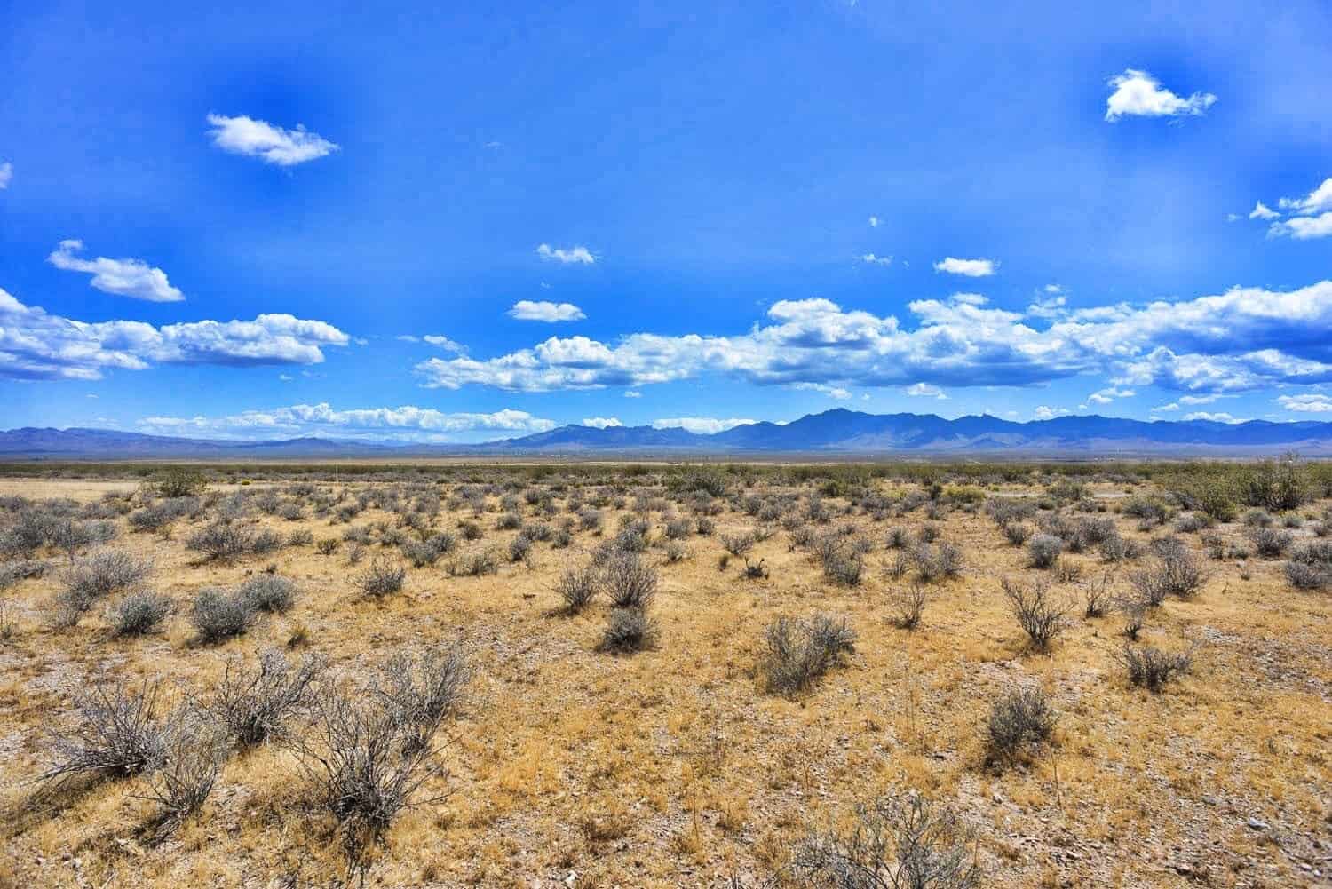 Matthew Road, Dolan Springs, AZ 86441