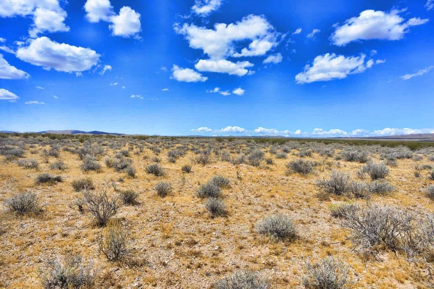 Matthew Road, Dolan Springs, AZ 86441