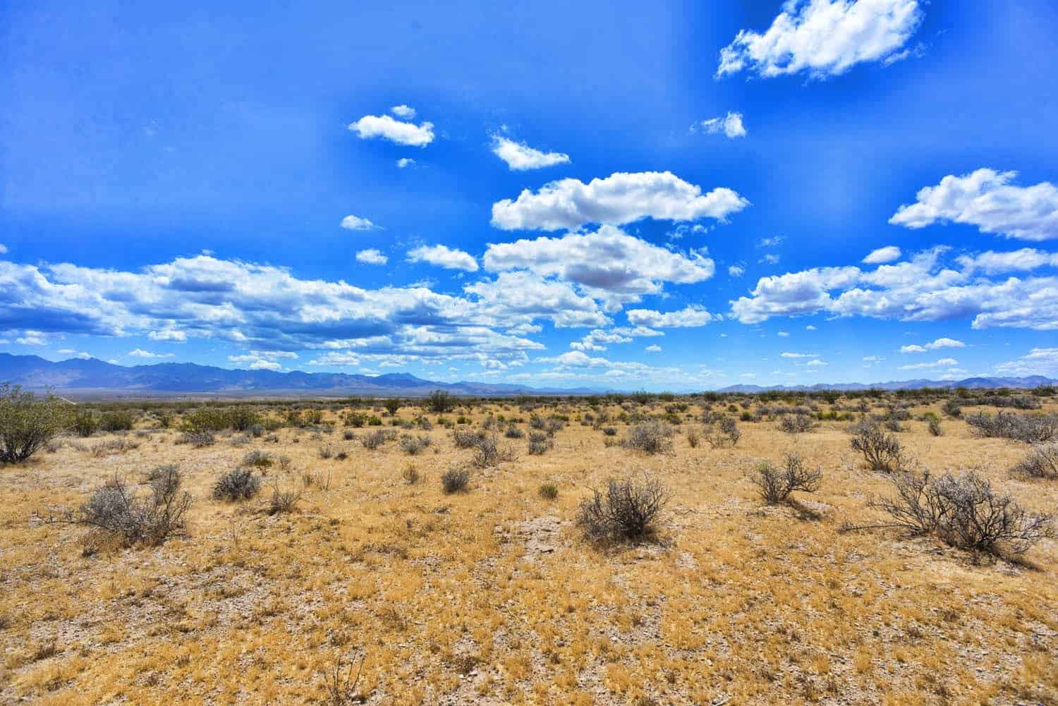 Kanyr Road, Dolan Springs, AZ 86441