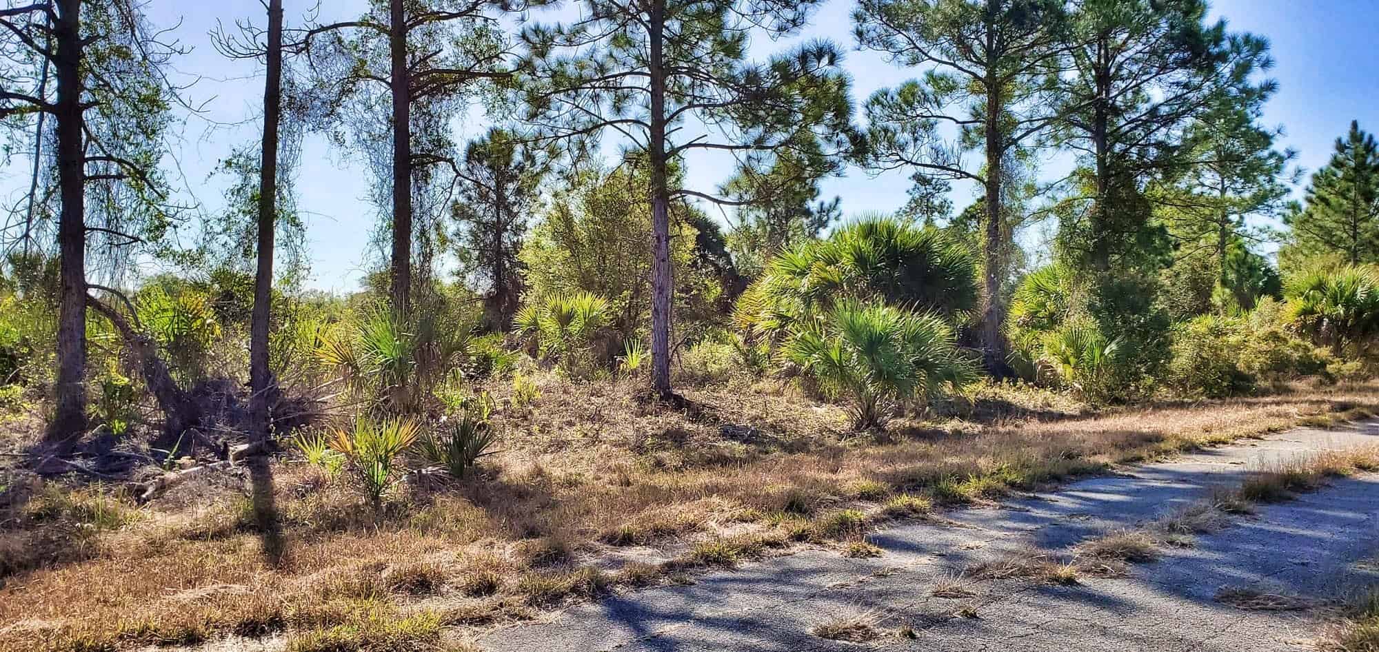 Winterville Circle, North Port, FL 34288