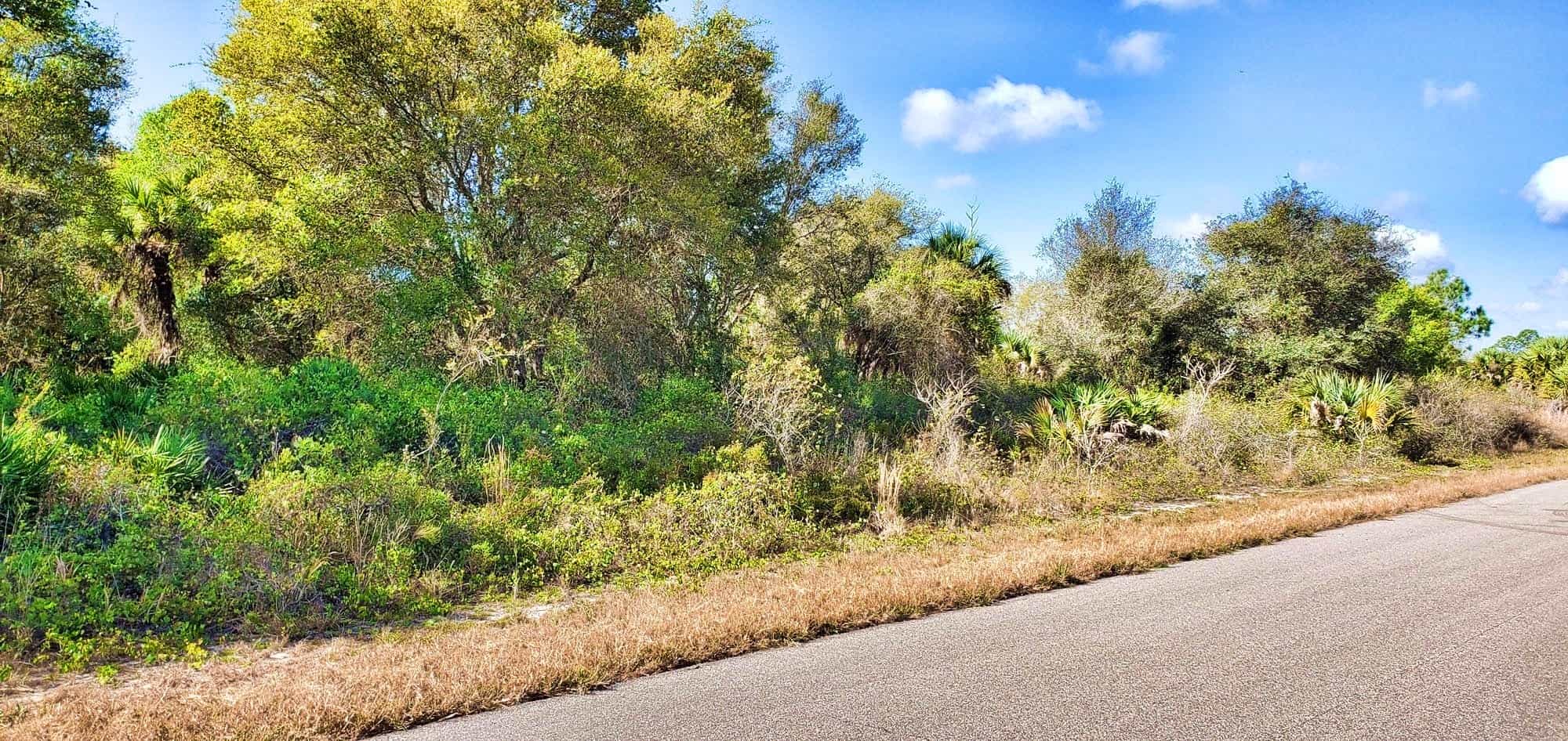 Mangrove Ave, North Port, FL 34288