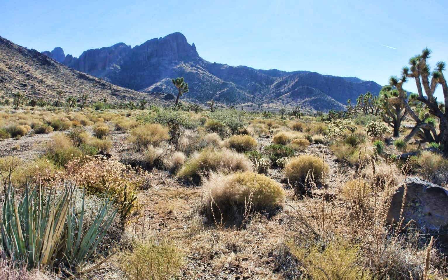 Nolan Drive, Dolan Springs, AZ 86441