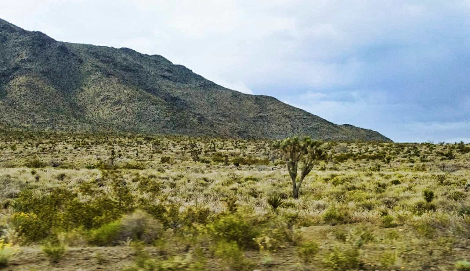 North Drive, Dolan Springs, AZ 86441