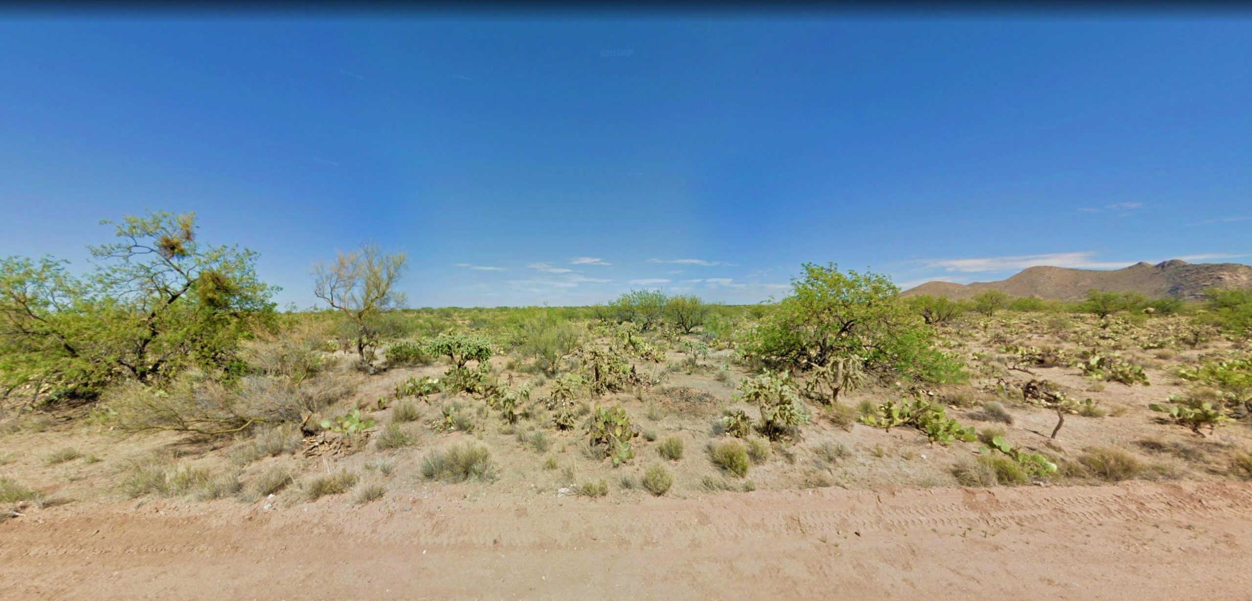 14201 S Pyliss Ave, Tucson, AZ 85736