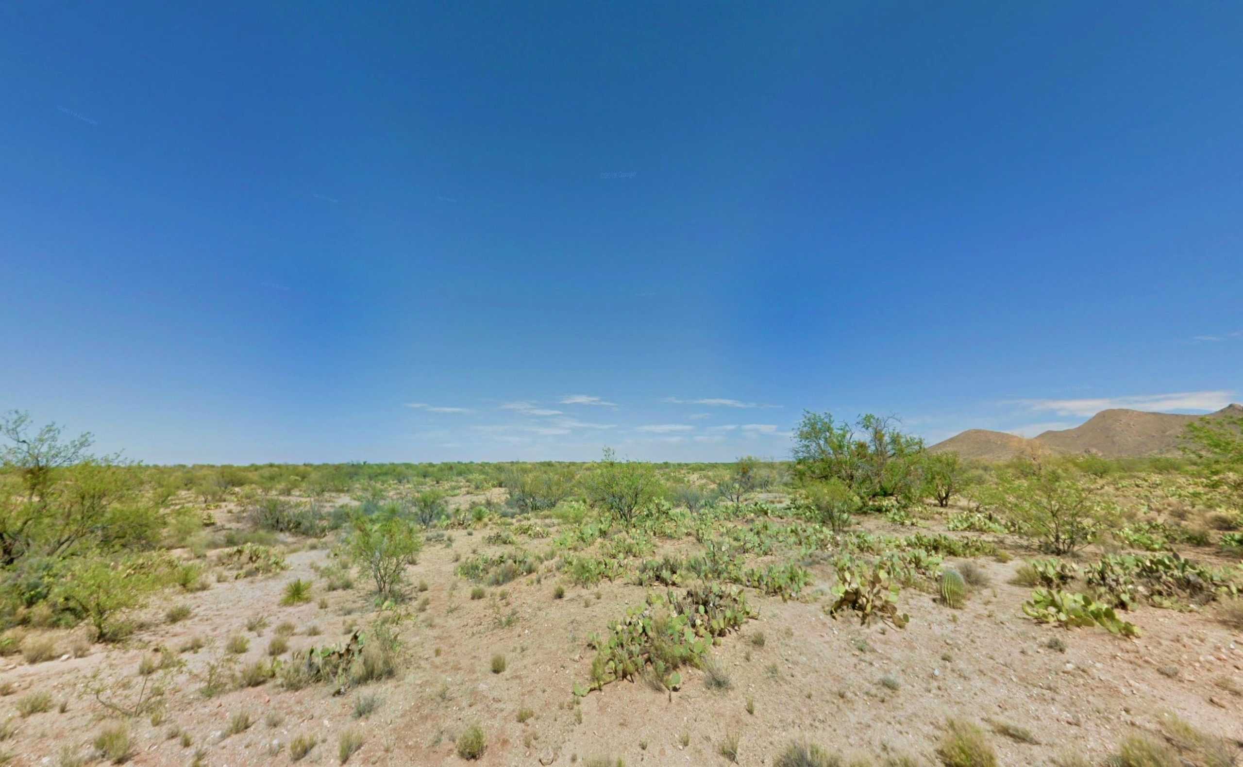 16182 W Powder Horn Drive, Tucson, AZ 85736