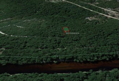 Terrace, Live Oak, FL 32060