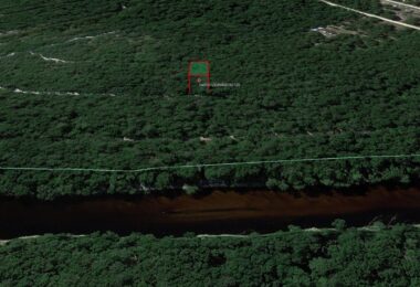 Terrace, Live Oak, FL 32060