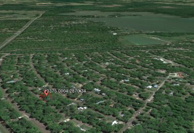 14203 Bull Run, Log Cabin, TX 75148