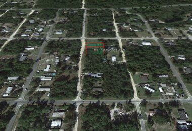 Palmetto St, Paisley, FL 32767