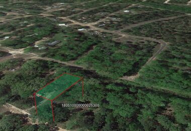 Holly Road, Mineola, TX 75773