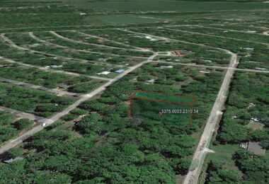 Travis Lane, Log Cabin, TX 75148