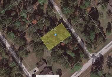 Tall Timbers Drive, Pointblank, TX 77364