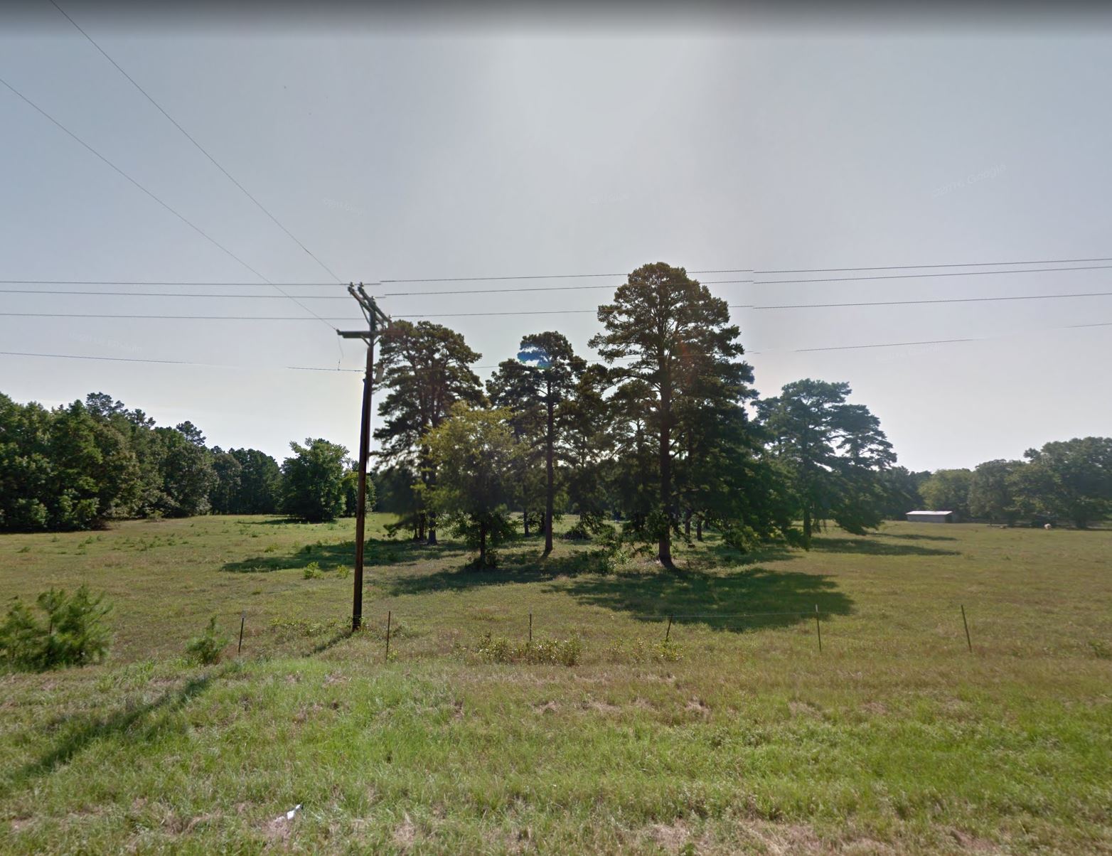 12160 0.13 Acre Sandlewood Loop, Avinger, TX 75630 Land Direct USA
