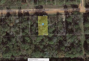 Neumann Street, Coldspring, TX 77331