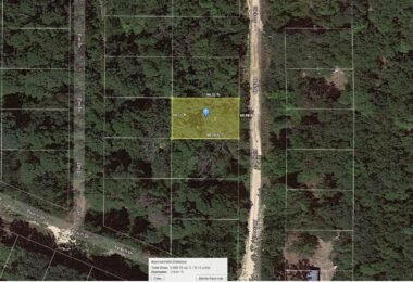 Hickory Drive, Harleton, TX 75651