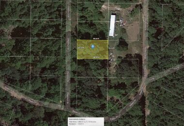 Chestnut Drive, Harleton, TX 75651