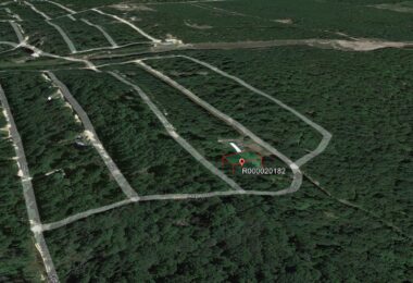 Chestnut Drive, Harleton, TX 75651