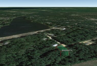 Vine Court, Harleton, TX 75651