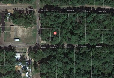 Navajo Drive, Avinger, TX 75630