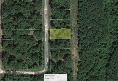 Tejas Drive, Jefferson, TX 75657