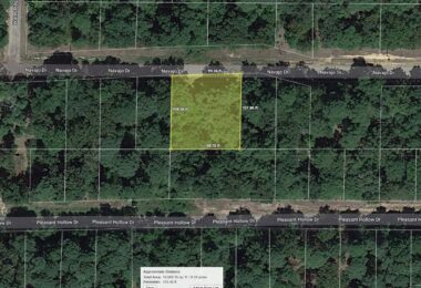 Navajo Drive, Avinger, TX 75630