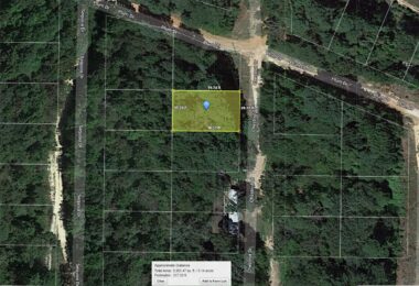 Chestnut Drive, Harleton, TX 75651
