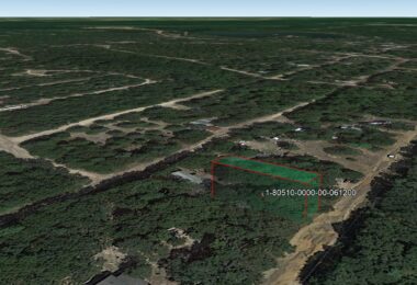 Dogwood Trail, Mineola, TX 75773