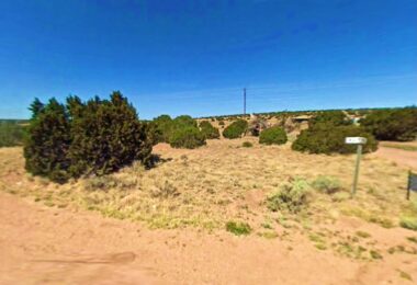 51 Alpine Lane, Concho, AZ 85924