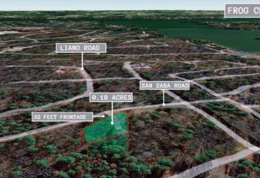 Navasota Ct, Mount Vernon, TX 75457