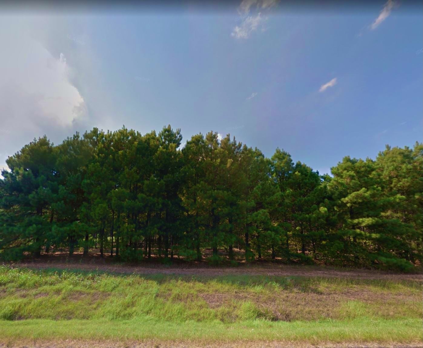 12362 0.27 Acre Croton Lane, Mount Vernon, TX 75457 Land Direct USA