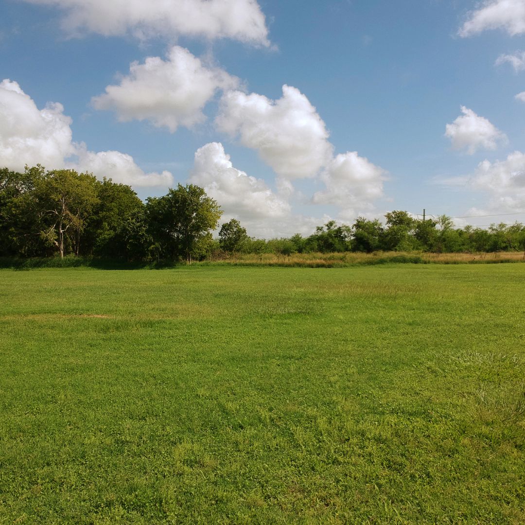 Our Easy Process For Buying Raw Land Learn More