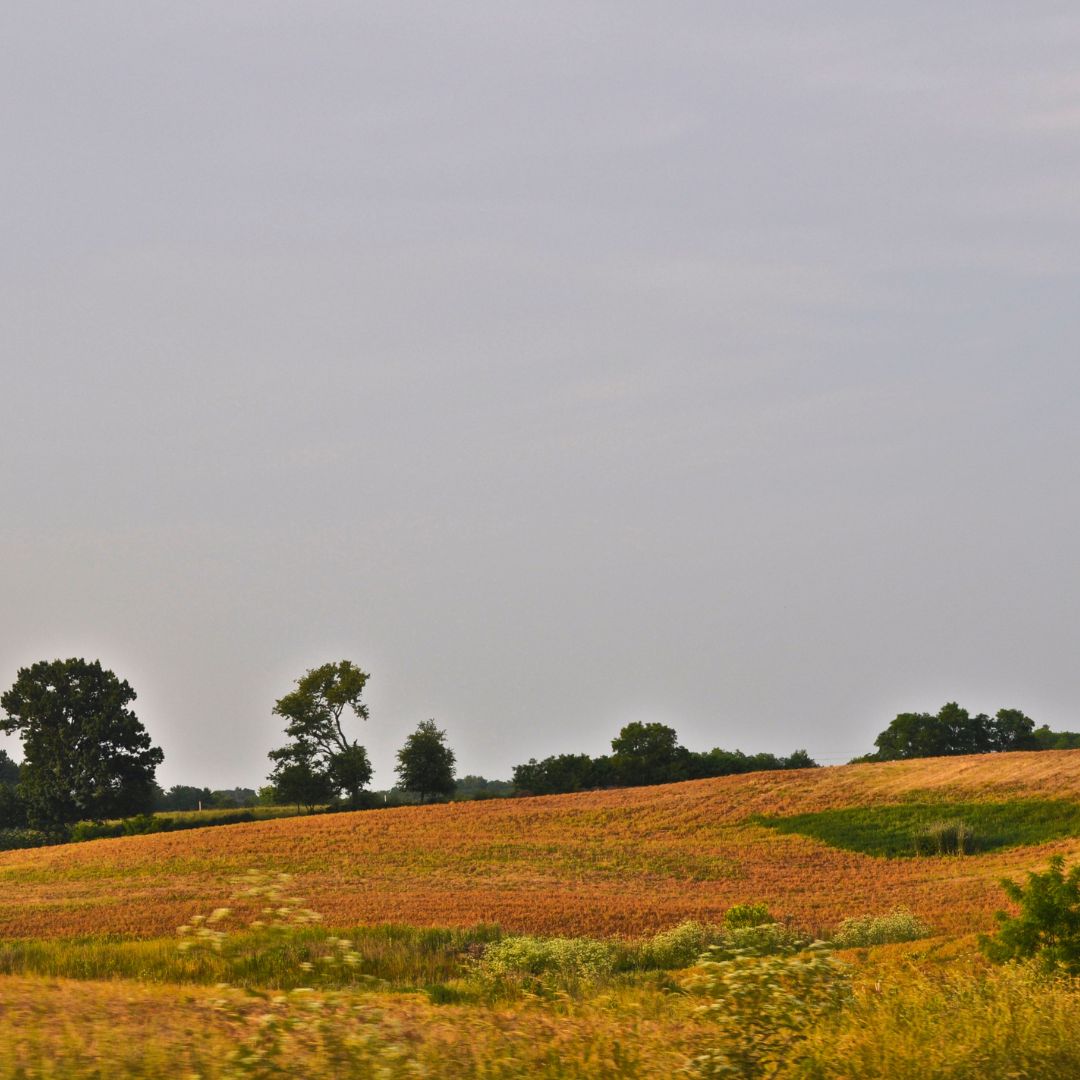 raw land for purchase