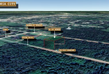 Pecan Drive, Brazoria, TX 77422