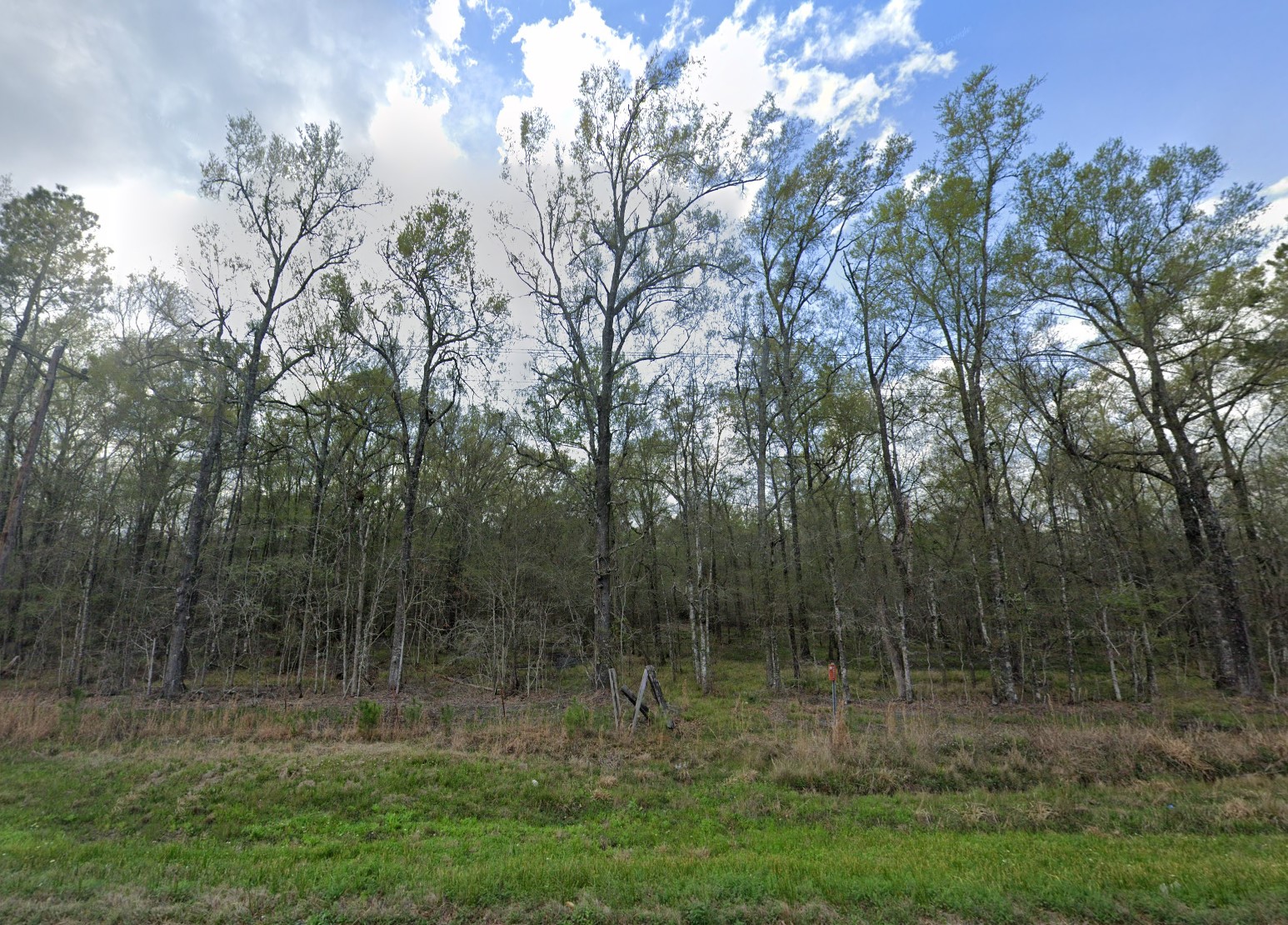 007310-001061-009 - Google Street 11