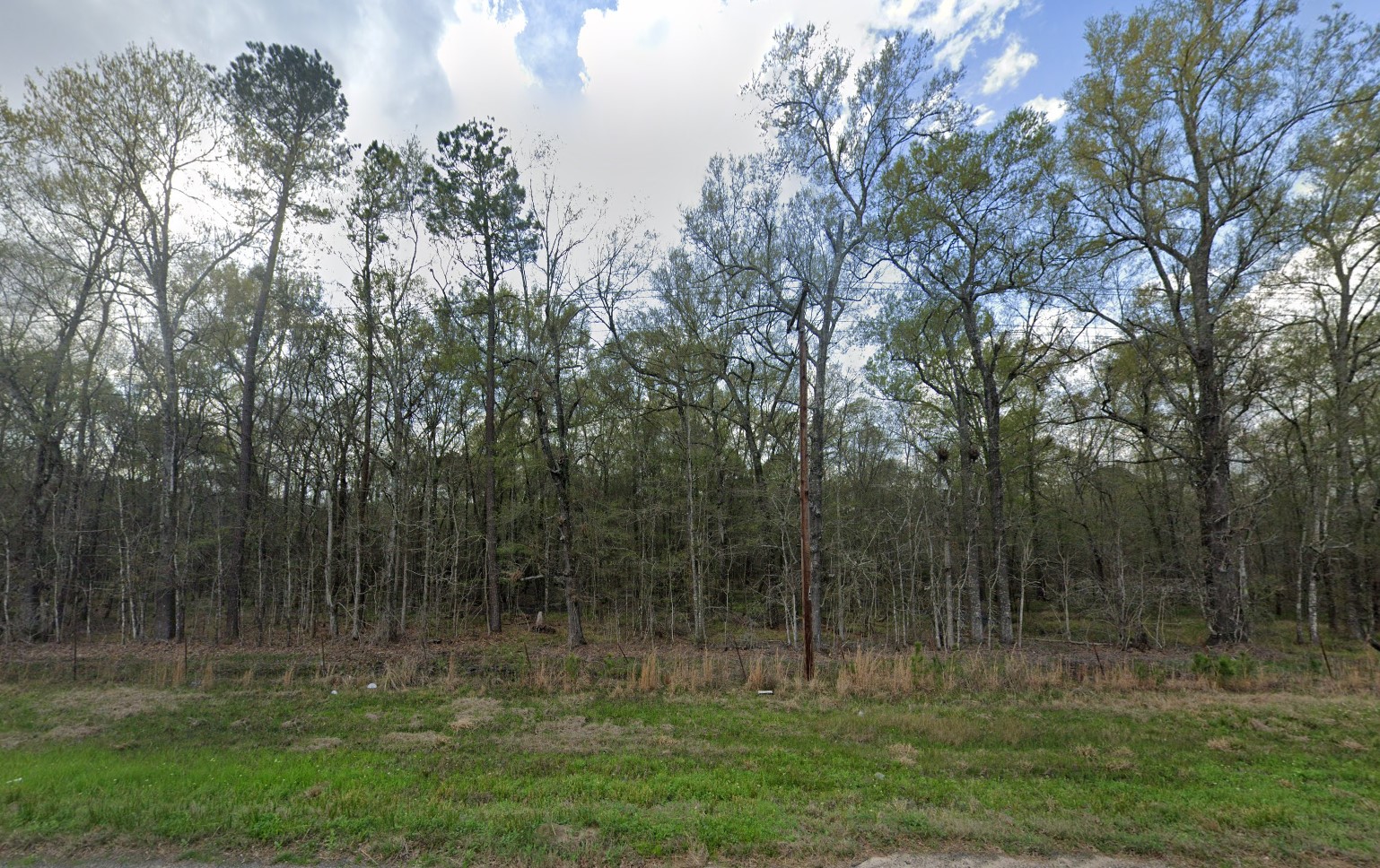 007310-001061-009 - Google Street 12