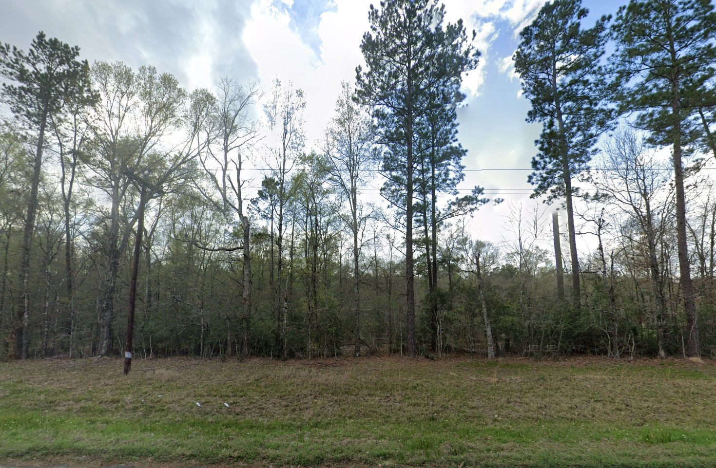 007310-001061-009 - Google Street 13