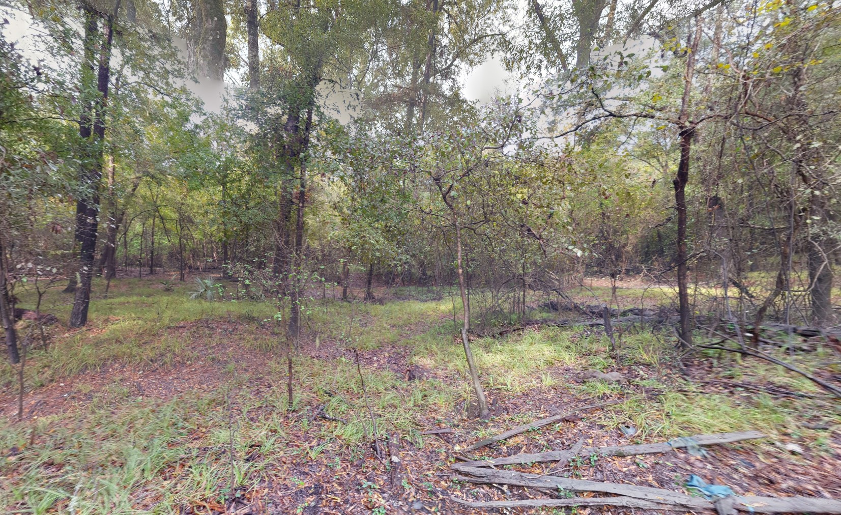 007310-001061-009 - Google Street 2