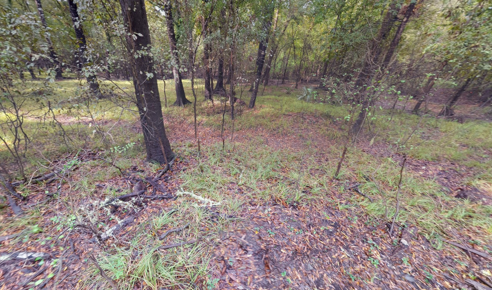 007310-001061-009 - Google Street 3