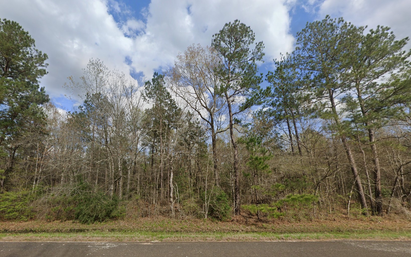 007310-001061-009 - Google Street 4