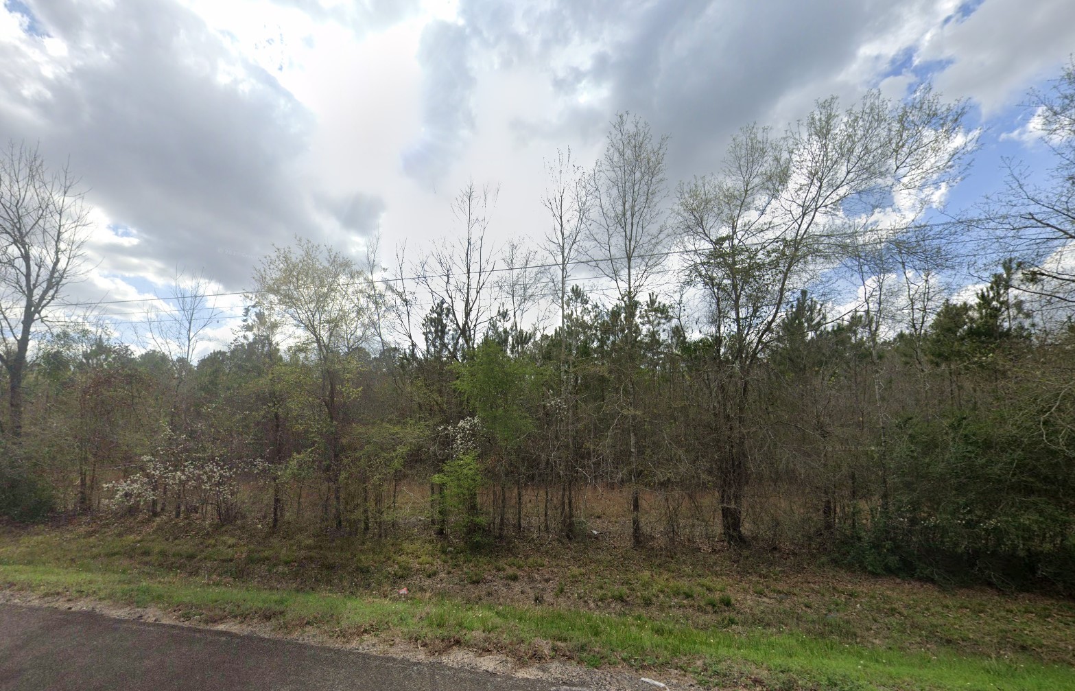 007310-001061-009 - Google Street 5