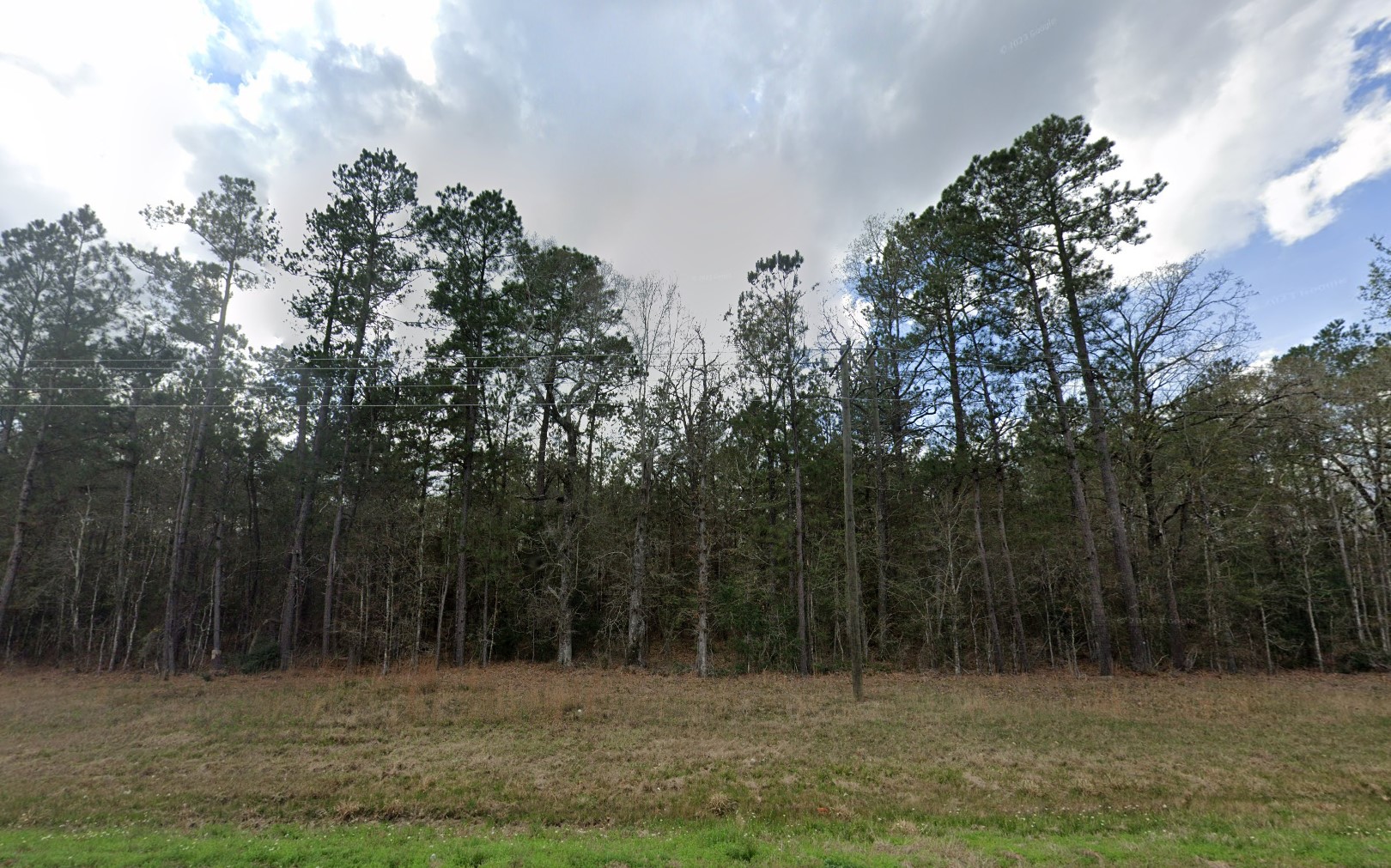 007310-001061-009 - Google Street 6