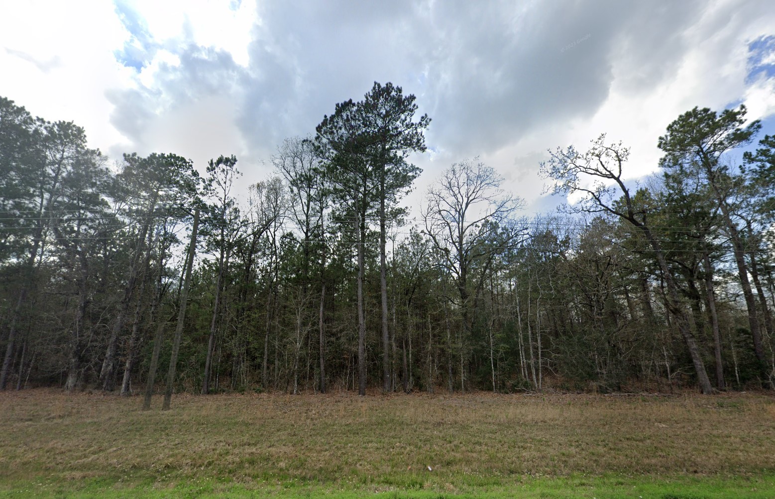 007310-001061-009 - Google Street 7