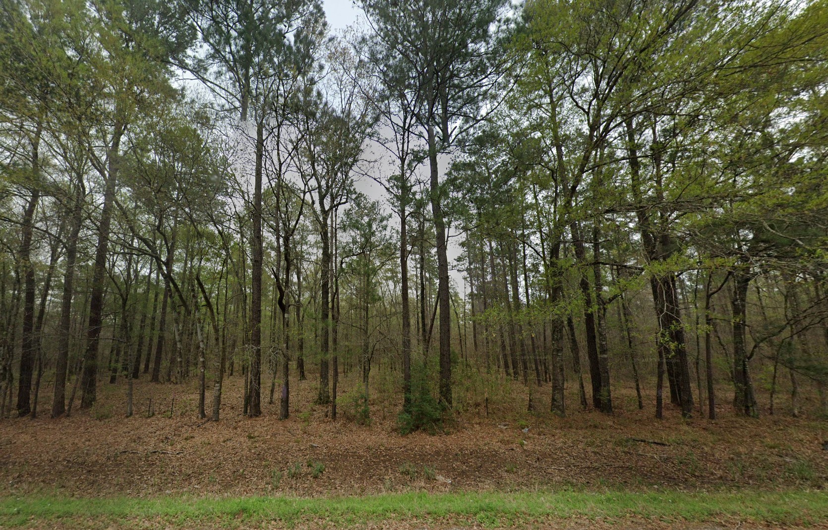 007310-001061-009 - Google Street 8