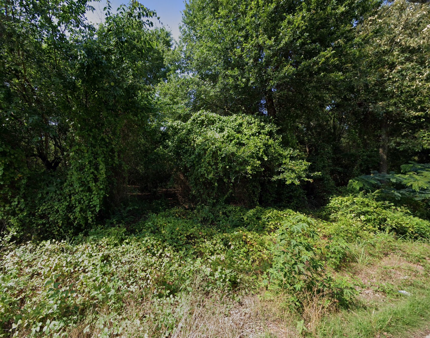 2050.0109.007F.01 - 0.55 Acre - 502 E Lee Street, Athens, TX 75751 ...