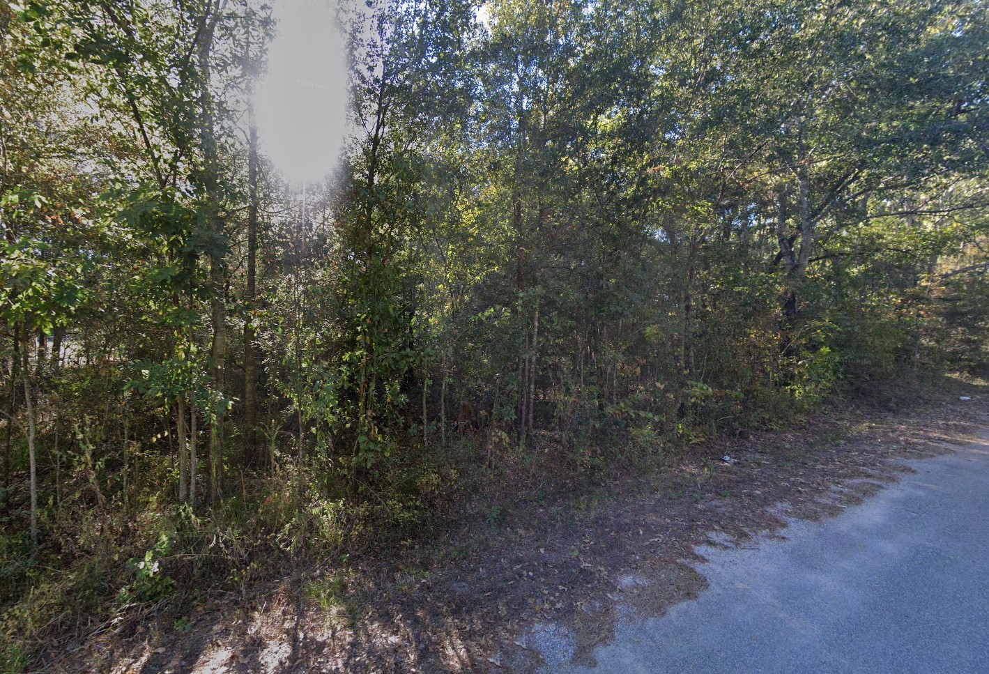 35780 - Google Street 3