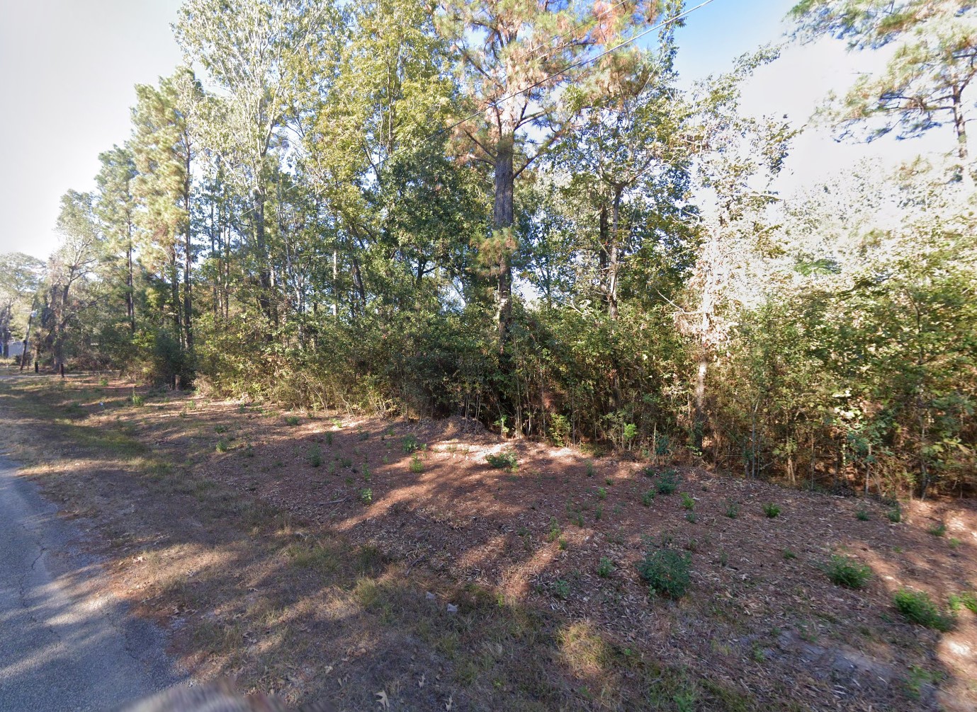 35780 - Google Street 6