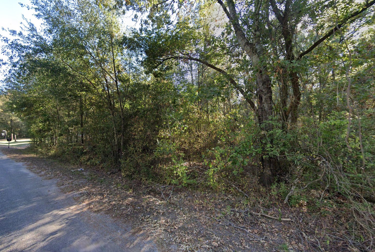 35780 - Google Street 7