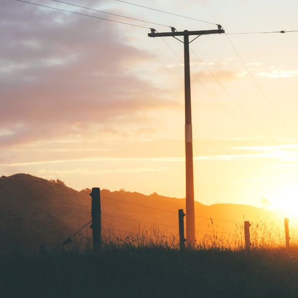 a powerline in a field