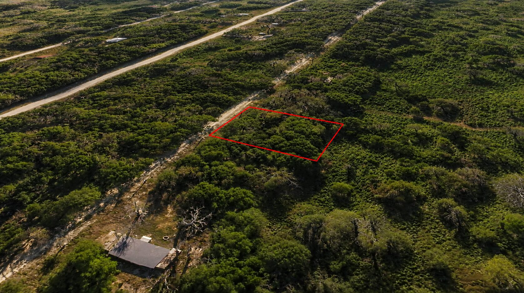 Wynne Road, Trinity, TX 75862